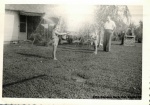 1954-Summer Barb, Pat, Romeo JR.jpg